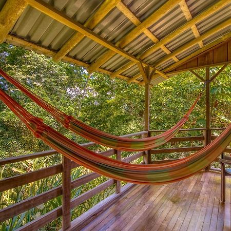 Westfalia Selva Bananito Lodge מראה חיצוני תמונה