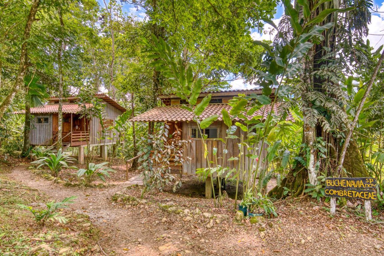 Westfalia Selva Bananito Lodge מראה חיצוני תמונה