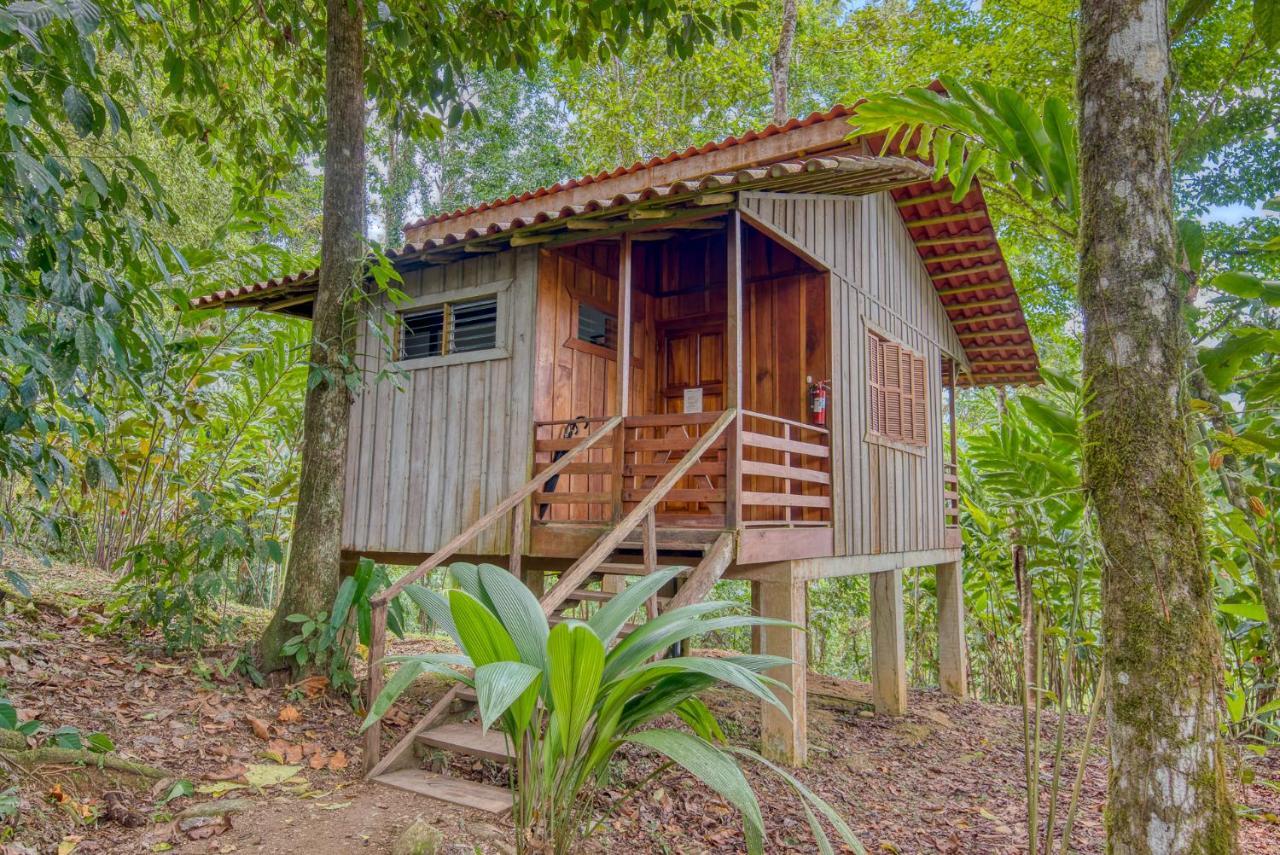 Westfalia Selva Bananito Lodge מראה חיצוני תמונה